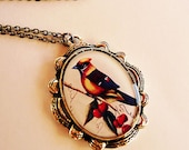Adorable Big Bird Charm Necklace