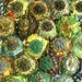A Yo-Yo Textile: Garden Greens