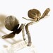 Double flower and branch ring is solid sterling silver