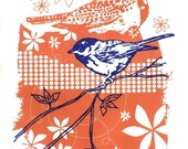 A Sparrow and a Meadowlark