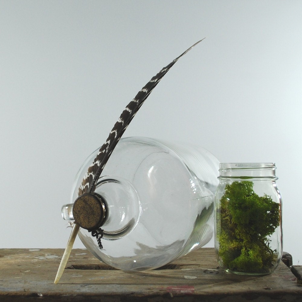 One Gallon Jug with Wire Closure