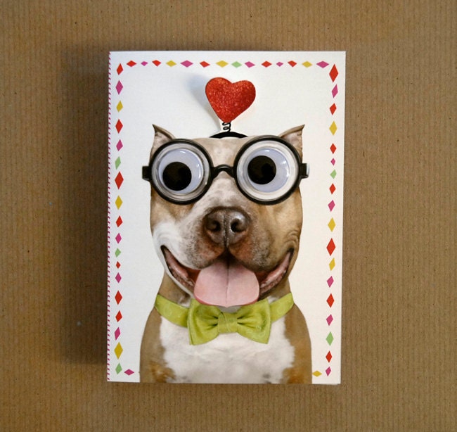 Silly Dog Greeting Pop Up Card