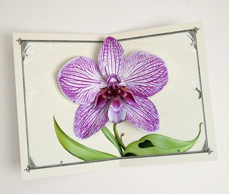 purple orchid flower pop up card