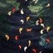 Fish Art, Koi Fish, Art Print, Illustration - "Koi" - Art Print 13x19