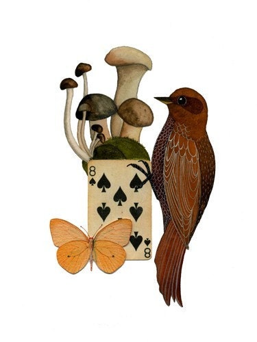 Bird No.16
