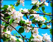 A Lovely Spring Day