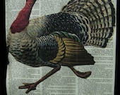 Turkey, Thanksgiving, Vintage Art Print, Dictionary Book Art Print, Upcycled, Winterberry Cottages