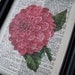 Flower, Mum, Pink, Woodland, Floral, Mums The Word, Winterberry Cottage, Wedding