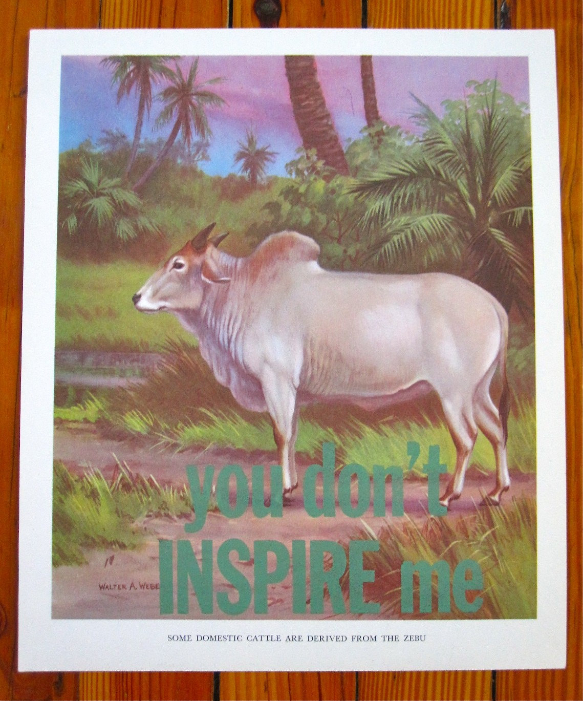 you don't INSPIRE me - letterpress print on vintage illustration