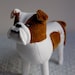3D Pet Portrait