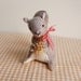 Gray Squirrel