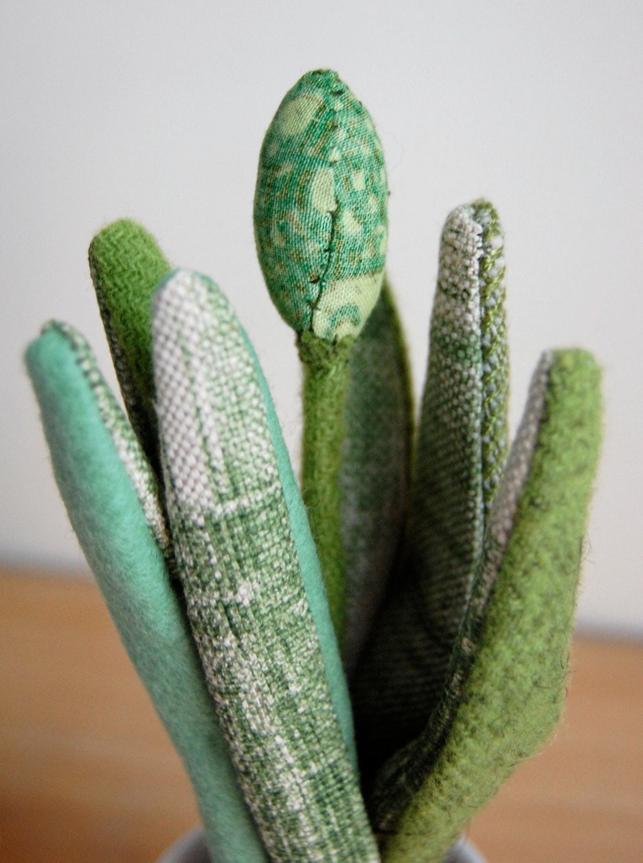 Stuffed Paperwhite Plant