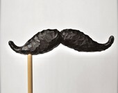 mustache on a stick. THE BARBER