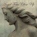 Gothic Stone Angel, fine art, stone art photograph, Angel hair, Gothic Decor