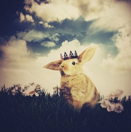 Little Bunny Prince - 5x7 Inch Print