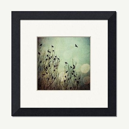 Flight, 5x5 Inch, Bird Print