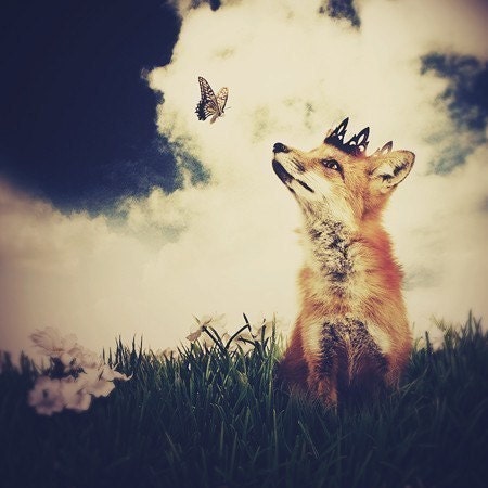The Little Fox Prince, 8x10 or 8.5x11 inch Print, Fox Art, Fox Print, Woodland Fairytale Art Print