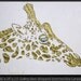 Original abstract giraffe painting contemporary fine art by Susanna Large 36x24 MADE2ORDER