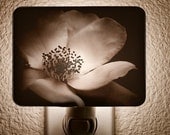 Sepia Charlotte Anne Night Light