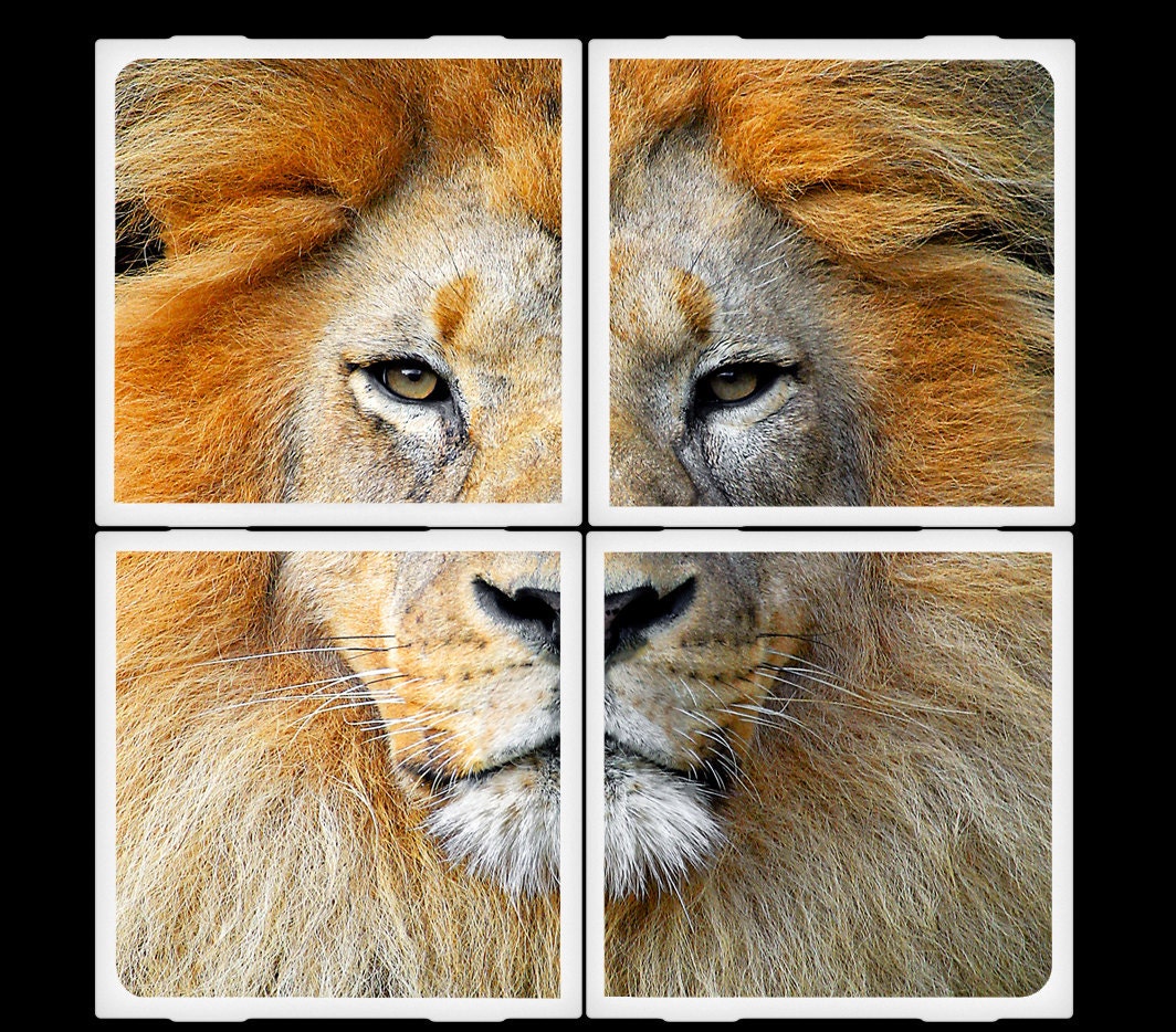 AramsEyes-King of the Jungle-Ceramic Coasters Set