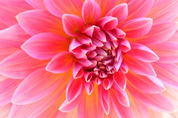Custom Set of Six Blank Photo Note Cards - Your Choice of Images