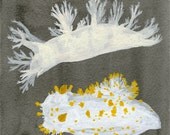 sea slugs original painting