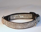 Small Sparkle Collar - Silver