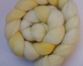 Falkland Roving (Top) Hand Painted Spinning or Felting Fibre in "Matura"