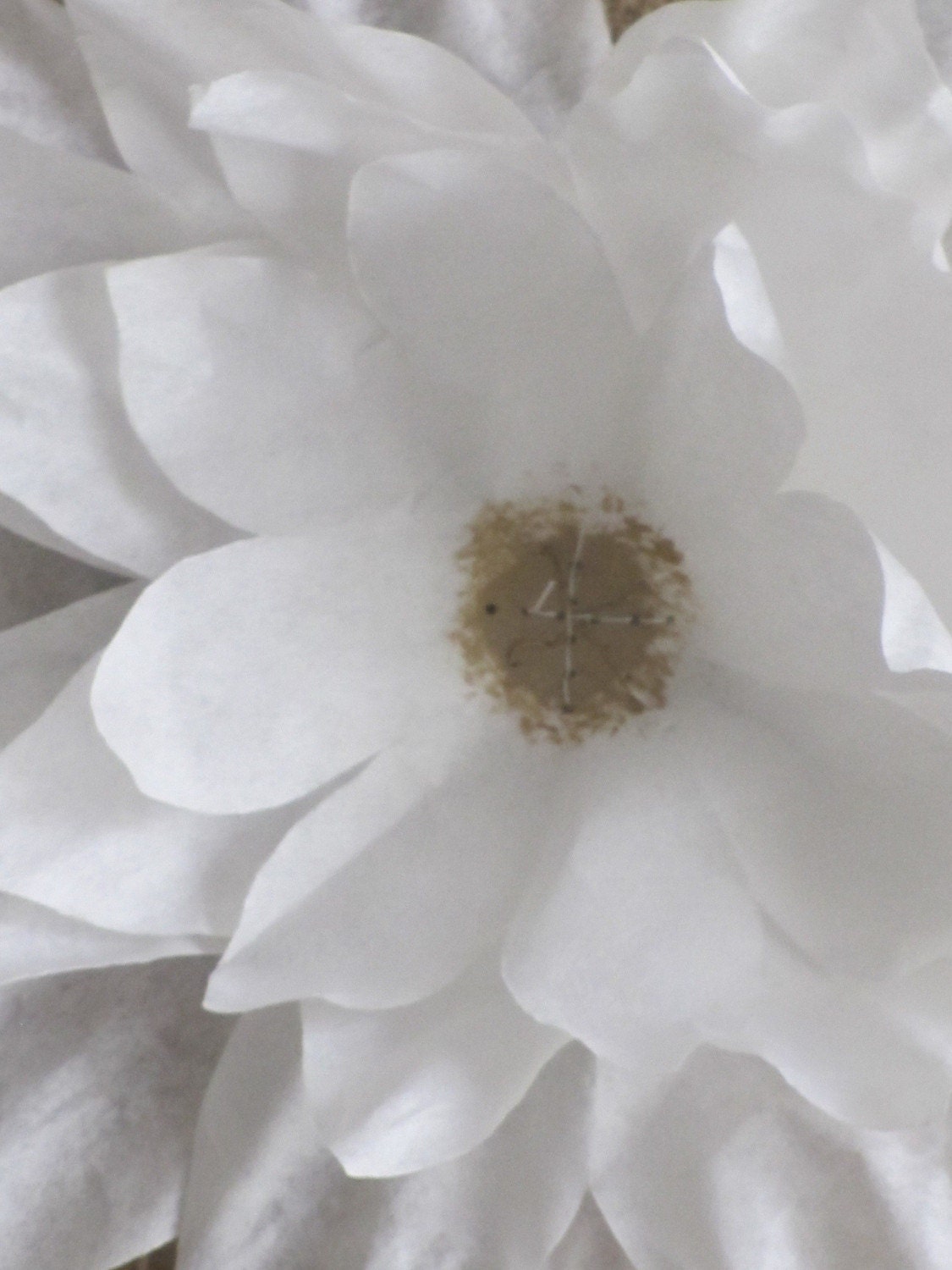 White Blooms.....on Burlap