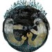 Circular Sea Monsters Greeting Card with Envelope