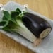 Veggies Necklace