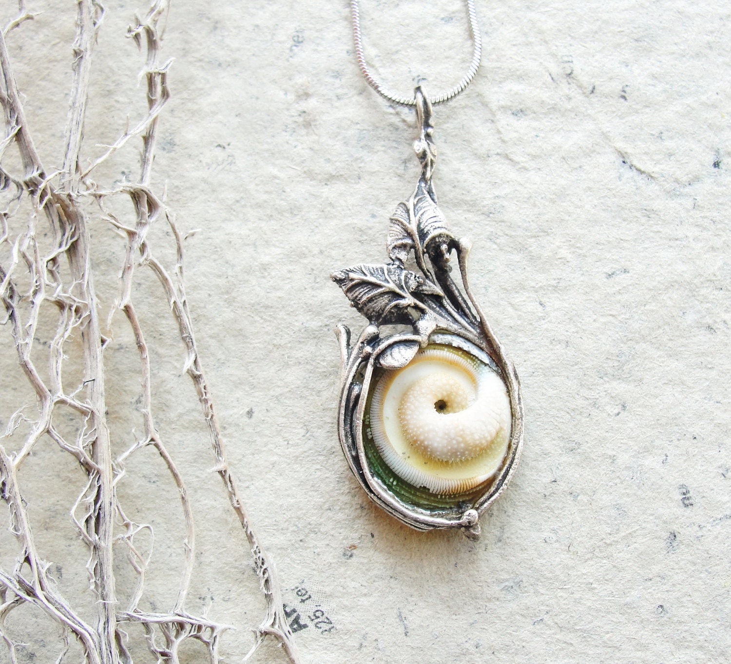 Sea Treasure Collection - Eye of Shiva Shell Necklace