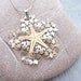 Lacey Starfish Necklace - Sea Treasure Collection