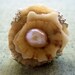 Sea Treasure Collection-Shell and Pearl Rose Ring