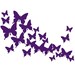Butterfly Laptop Decal