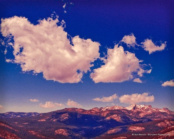 Yosemite Scene - 8 x 10 Fine Art Photograph Print