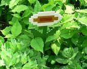 pseuderanthemum incendia (fire flower) outdoorus gigantus