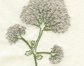 Cow Parsley Stitchery pattern