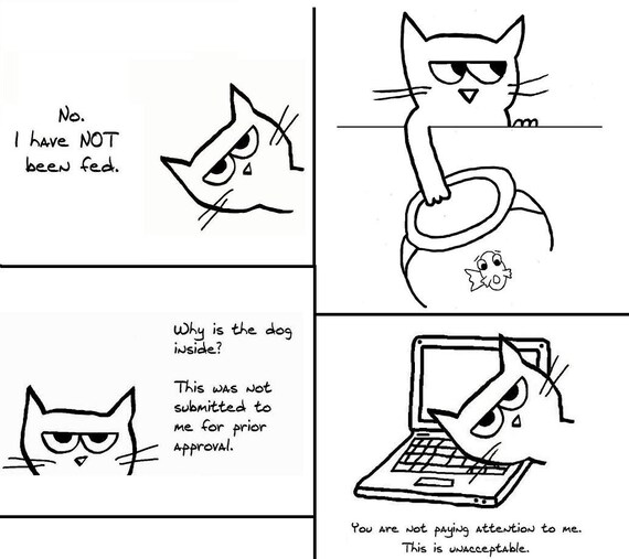 Angry Cat 2 - Set of 8 Large Folded Cards for Cat Lovers