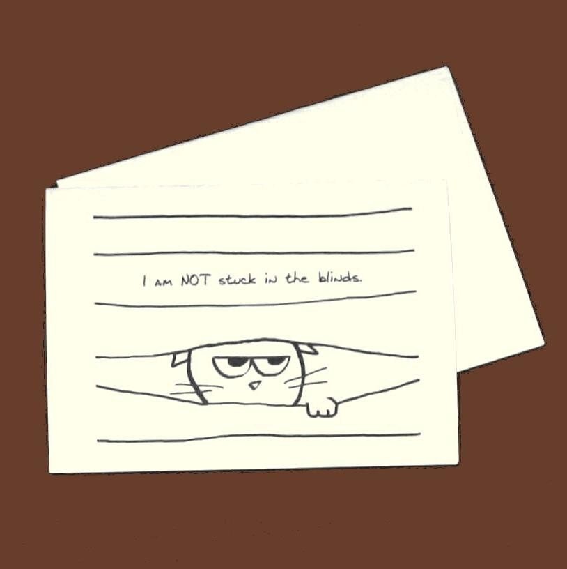 Angry Cat 1 - Set of 8 Large Folded Cards for Cat Lovers