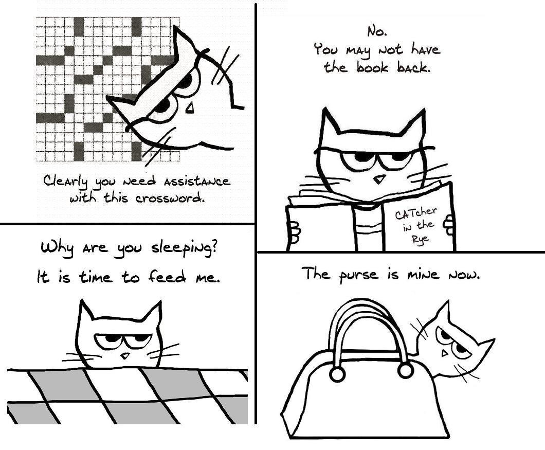 Angry Cat 2 - Set of 8 Large Folded Cards for Cat Lovers