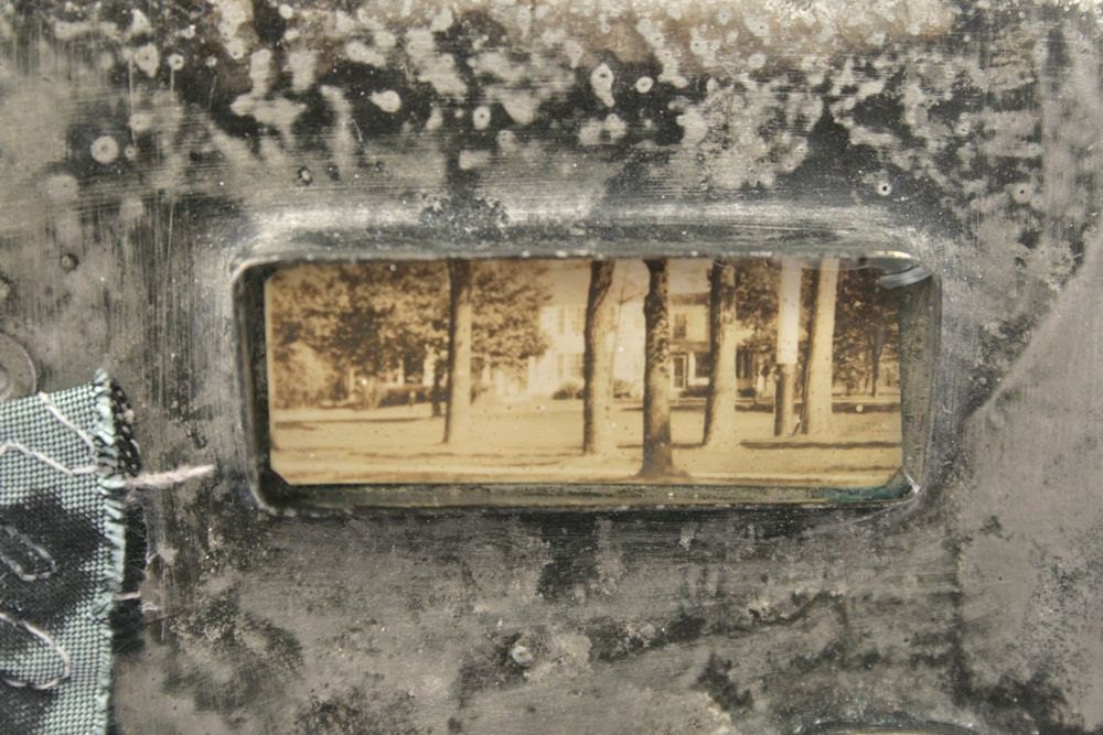 Build me a Home in the Trees - Handbook of Elements