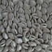 Pistachio - Large 3D Porcelain Textured Ceramic Decorative Wall Tile
