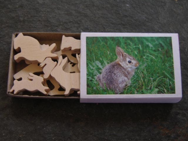 Miniature  Bunny Rabbit Wood Match Box Set