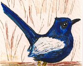 White and Blue Wren - ACEO - Original Watercolor