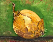 Onion - Original Watercolor and Gouache