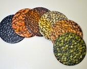 Dried Beans Photo 3.5 inch Coasters - Set of 6 in Box