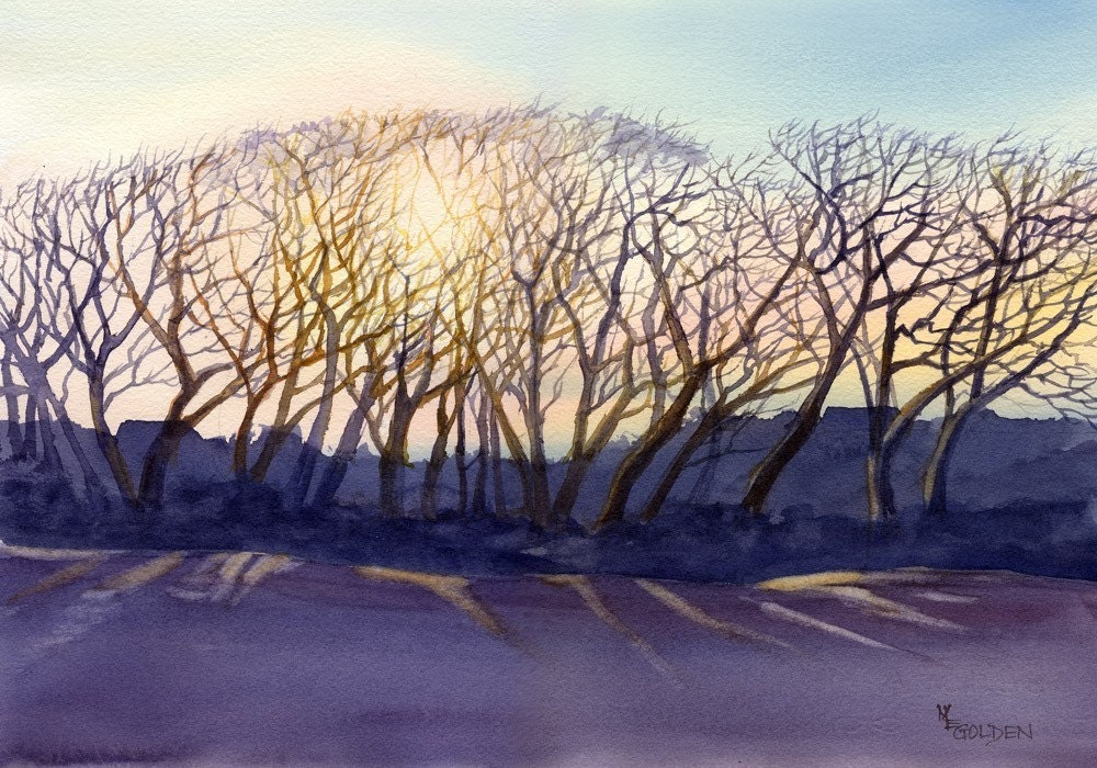 Topsail Trees