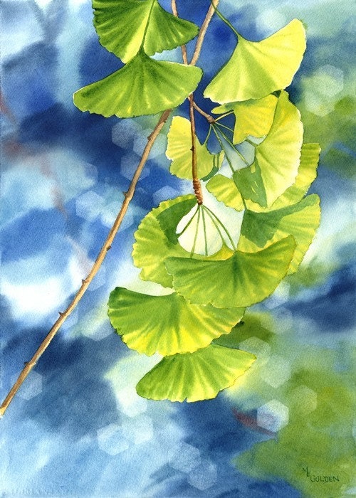 Ginkgo