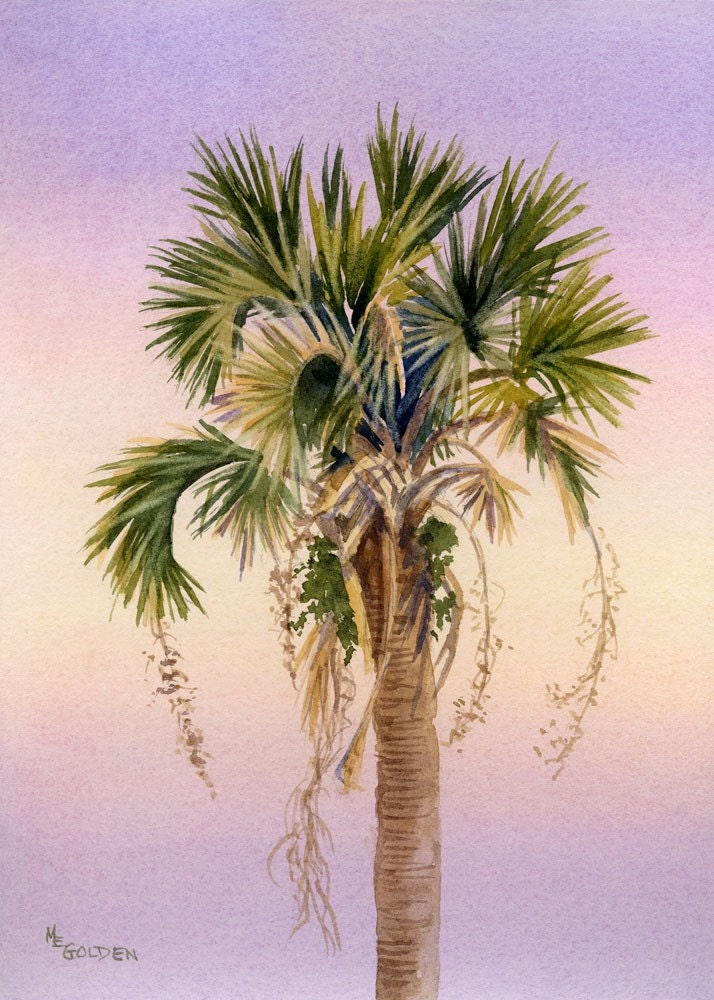 Sunset Palm fronds waving in the evening light
